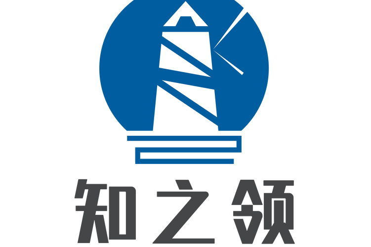 解析公司经营范围 软件开发、技术服务、技术开发、技术咨询与社会经济咨询的协同价值