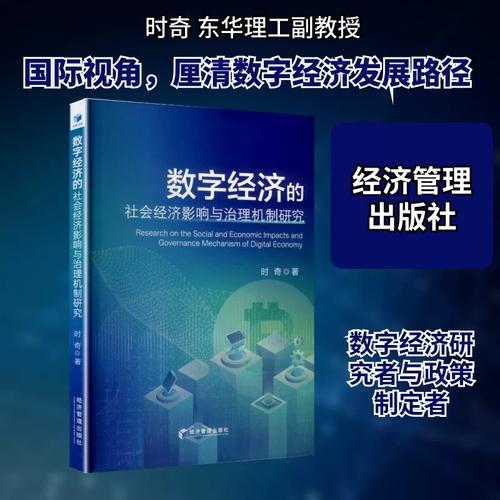 数字经济的社会经济影响与治理机制研究 时奇 著 著 经济理论经管